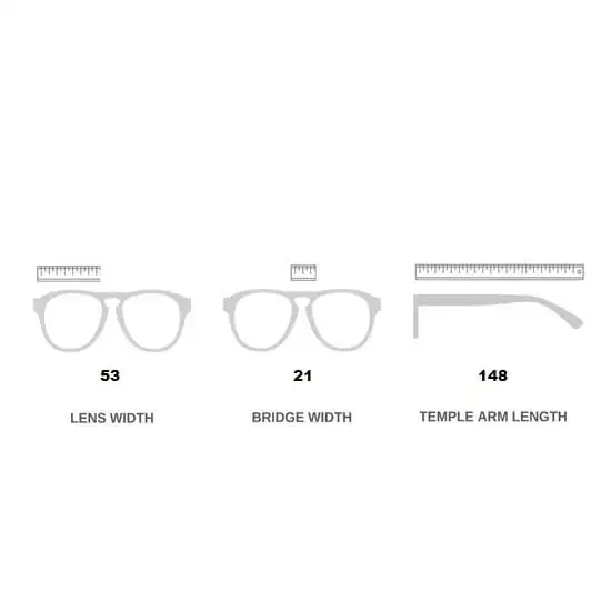 Leo In Brown Eyeglasses Online 6 frame size