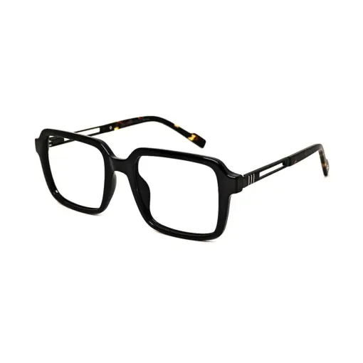 Brown Retro Square Eyeglasses at chasmah