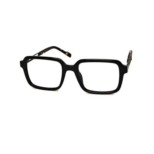 Brown Retro Square Eyeglasses at chasmah