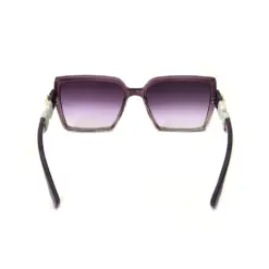 Janet Purple Women Sunglasses at chashma