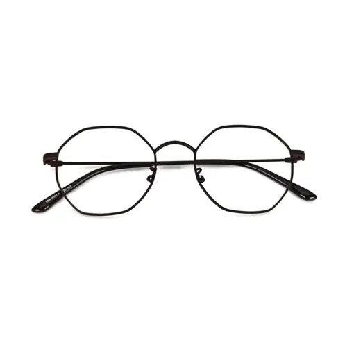 Brown Hexxa Modern Eyeglasses