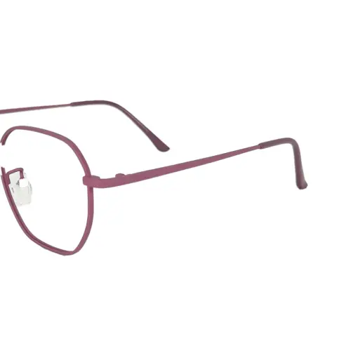 Mauve Metal Modern Eyeglasses at chashma