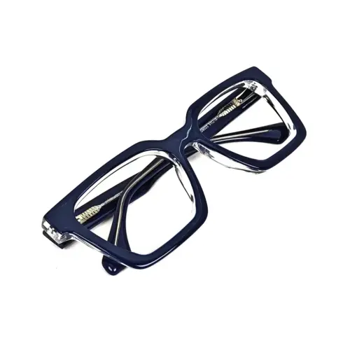 Blue Bold Modern Eyeglasses