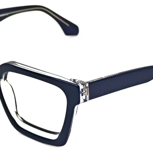 Blue Bold Modern Eyeglasses
