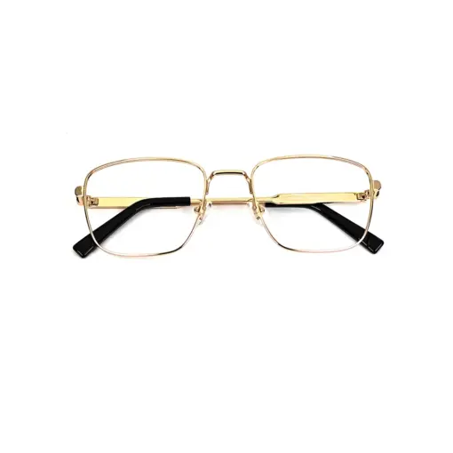 Golden Rich Look Eyeglasses at chashmah