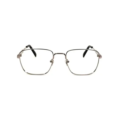 Silver Rich Look Eyeglasses at chashmah