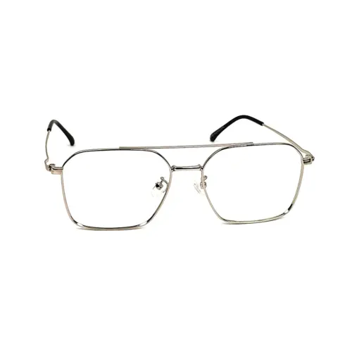 Silver Pegg Friendly Eyeglasses at chashmah