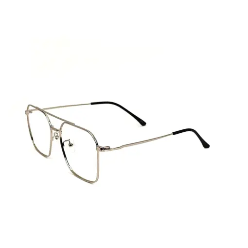 Silver Pegg Friendly Eyeglasses at chashmah