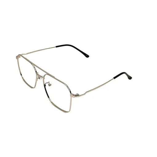 Silver Pegg Friendly Eyeglasses at chashmah