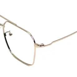 Silver Pegg Friendly Eyeglasses at chashmah