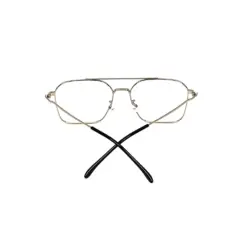 Silver Pegg Friendly Eyeglasses at chashmah