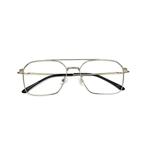 Silver Pegg Friendly Eyeglasses at chashmah
