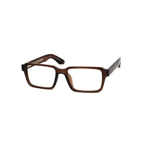 Compact Brown Eyeglasses at chashma