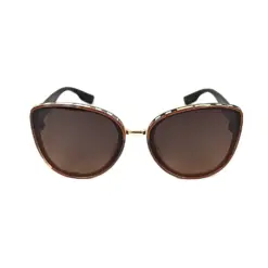 Brown Women Modern Sunglasses