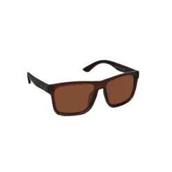 Brown Wayferar Polarized Sunglasses