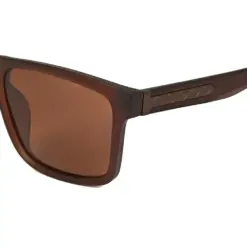 Brown Wayferar Polarized Sunglasses