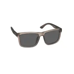 Matte Brown Wayferar Polarized Sunglasses