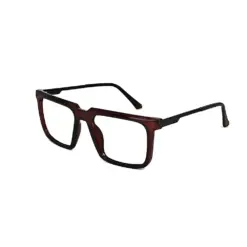 Brown Classic Style Eyeglasses