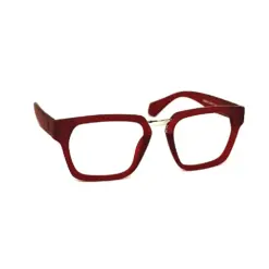 Red Maroon Modern Eyeglasses