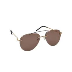 Buy Brown Aviator Day Night Sunglasses Online