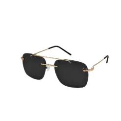Golden Black Day Night Sunglasses - 4255 9 Buy Golden Black Day Night Sunglasses Online