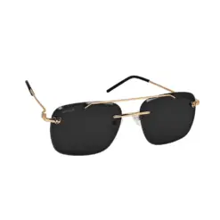 Golden Black Day Night Sunglasses - 4255 13 Buy Golden Black Day Night Sunglasses Online