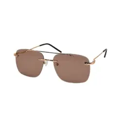 Buy Golden Brown Day Night Sunglasses Online